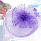 AUNMAS Sombrero de Malla Plumas Falsas Velo Flor Diadema Banquete Accesorios para el Cabello Dama Sombrero para la Boda Vestirse Cosplay Fiesta Fotografía(3#)
